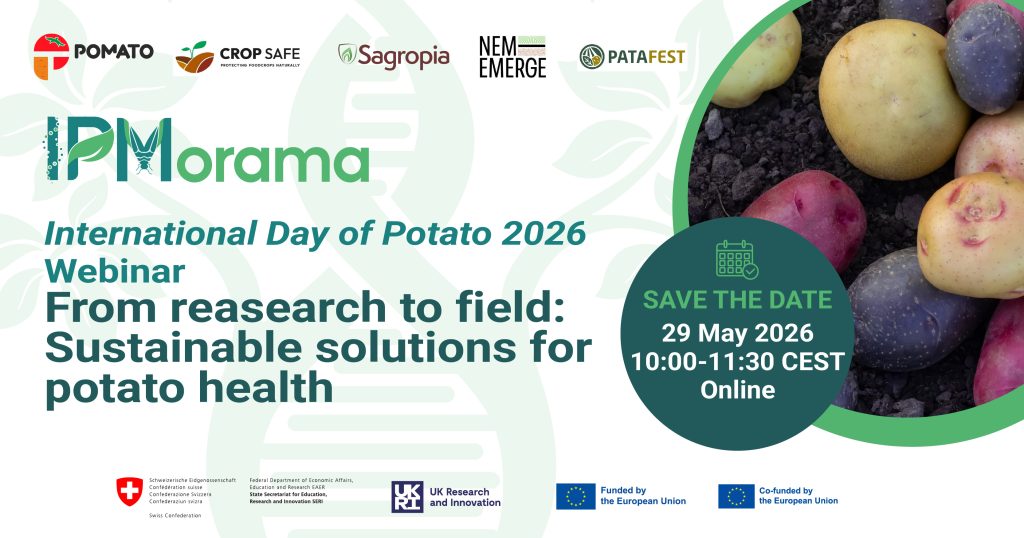 international day of potato 2026 webinar-01