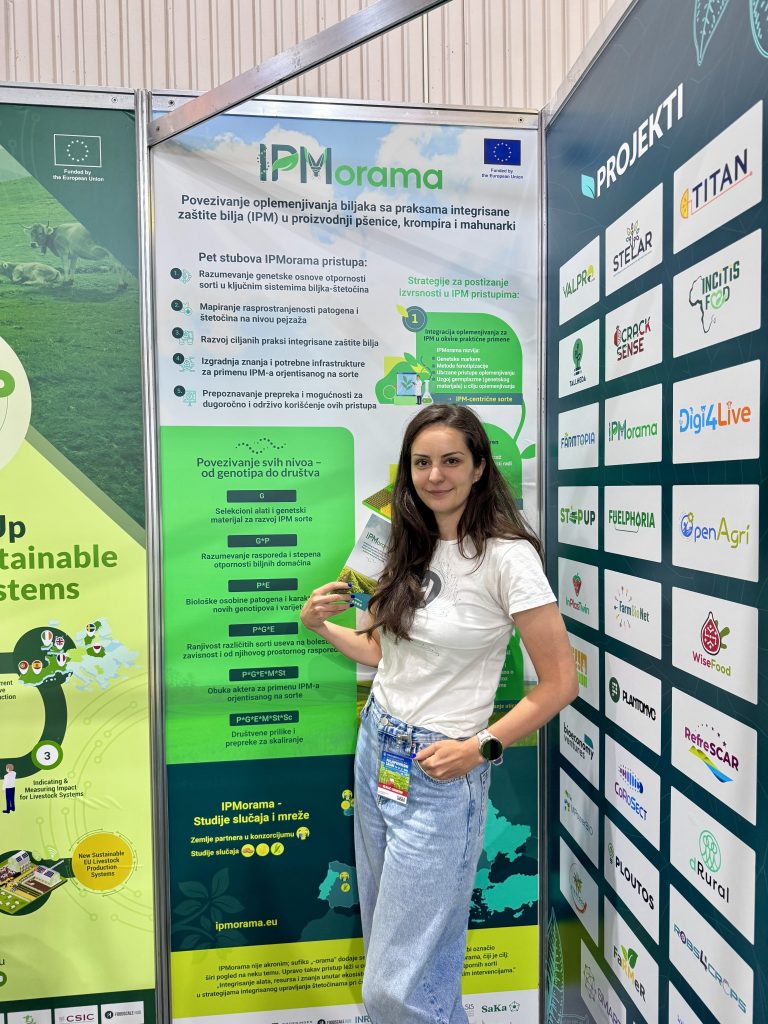 IPMorama