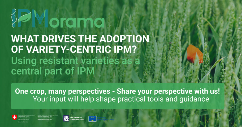 WHAT DRIVES THE ADOPTION OF VARIETY-CENTRIC IPM?